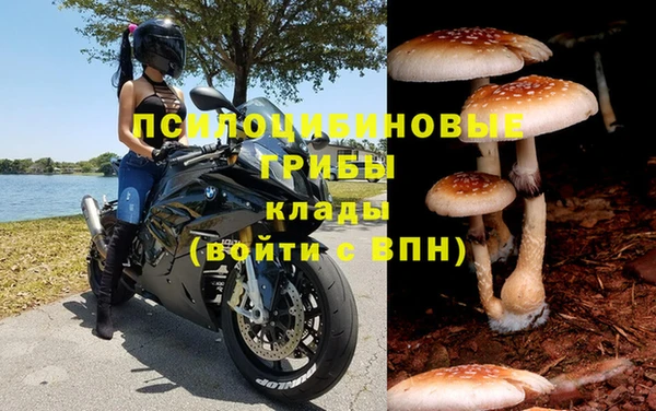 герыч Кодинск